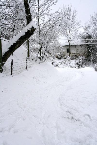 Téli mese - 2012 Január